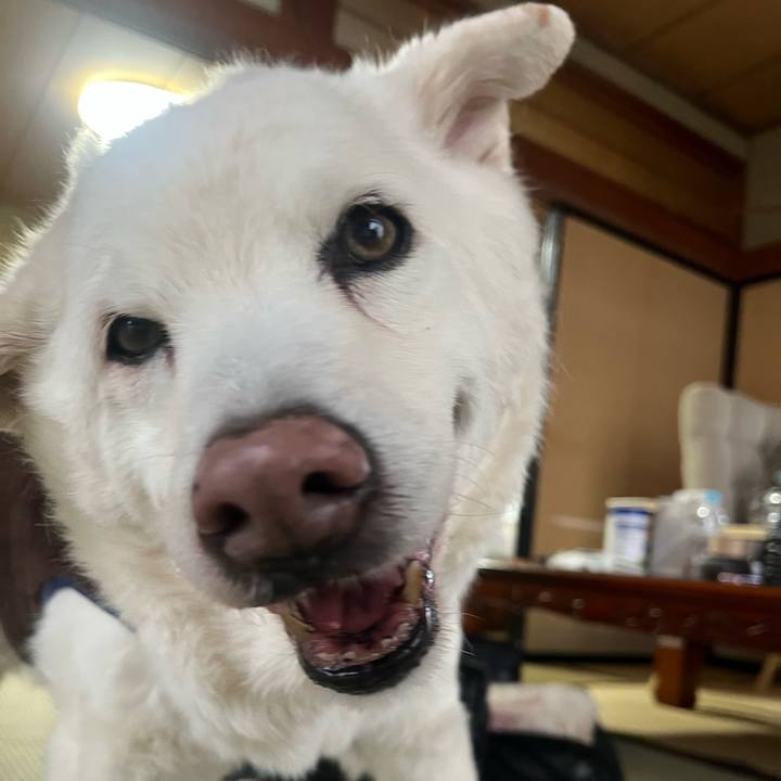 7ae7ced6 ad38 4ee4 ab00 1ddcd7e6263e 1767917100483