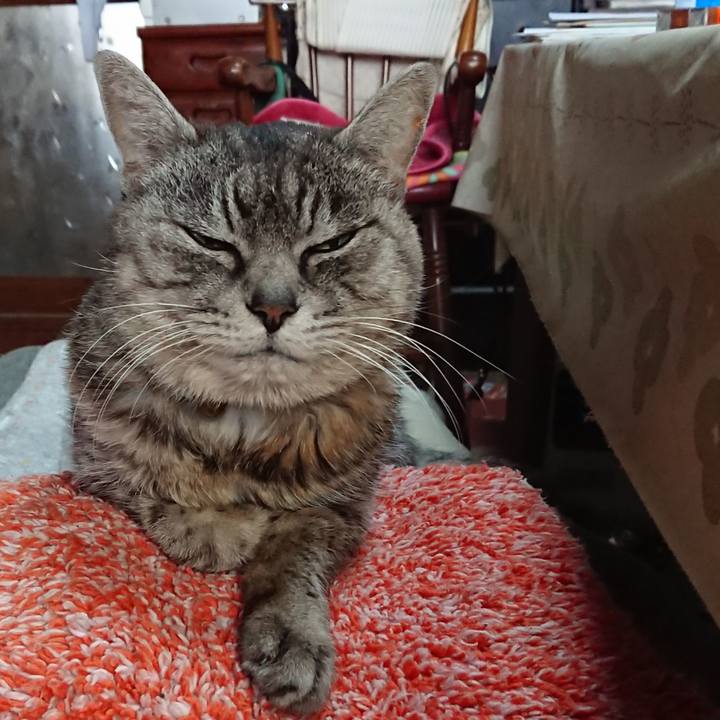 7ae7e176 44c0 42ec 8712 8eeb93a3f648 1581231358390