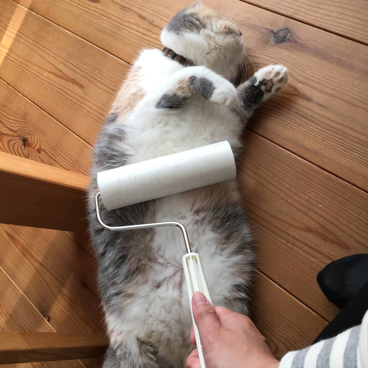 7ae826b8 640f 4a46 b291 cdd9e8bf1700 1544316163022