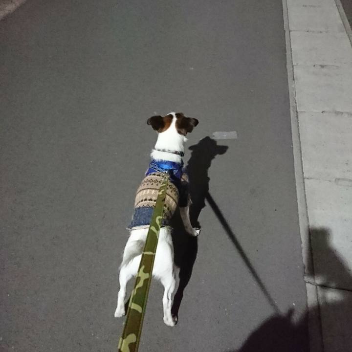 7ae82a0a 4c18 4c9f 98bd 04773844a8f2 1517914962579