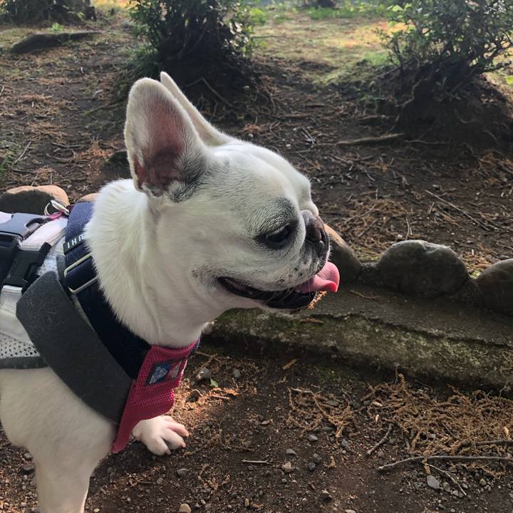 7ae85516 586d 44e5 913e 64cc7f7d1766 1588467002344