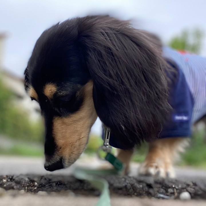 7ae87cc6 ef2a 4935 9d39 3549fec9cfce 1724195382860