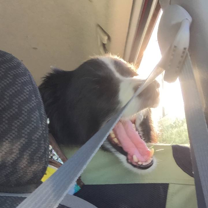 7ae8ca8d 9a60 4433 8886 09878e06f268 1535238549114