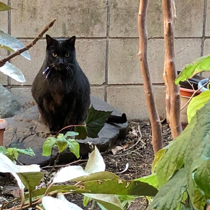 7ae8e001 a999 4ee2 8a1e baf56fc1eef4 1514892550040