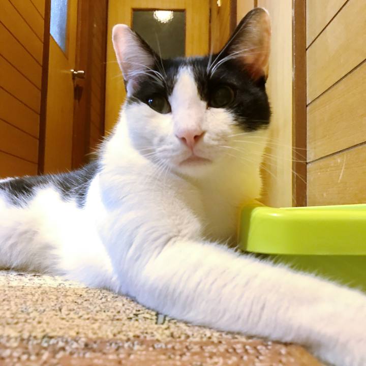 7ae8e4f5 ffaa 4cf3 9841 e954982f121d 1508030412200