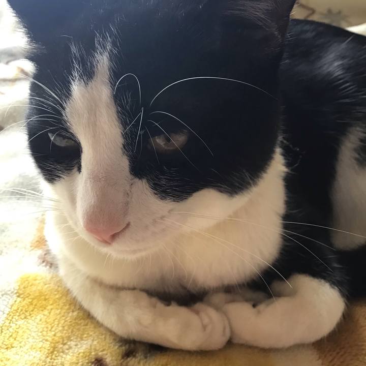 7ae90e2b a138 4f09 9296 b70bdd29c3ff 1648531038248