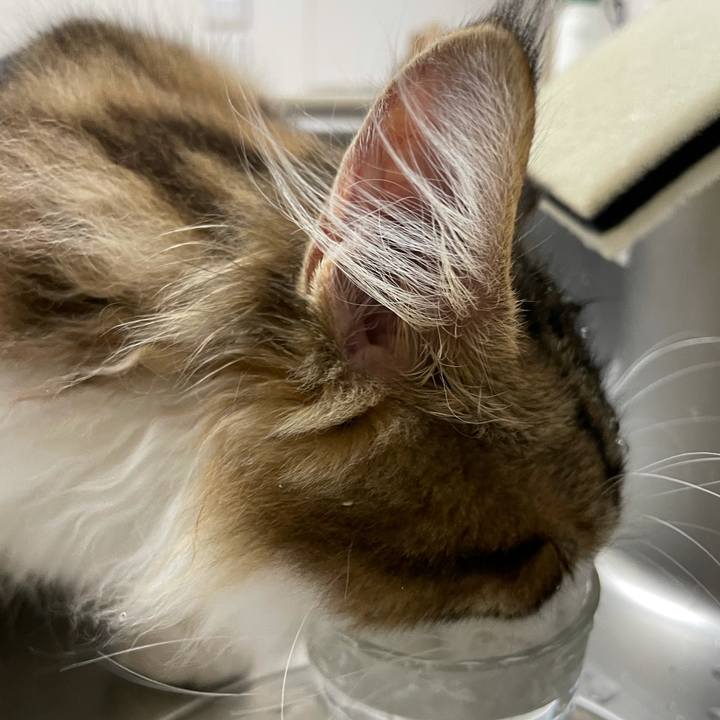 7ae924b8 fd09 4053 a27f 2f7117a6885d 1636064874939