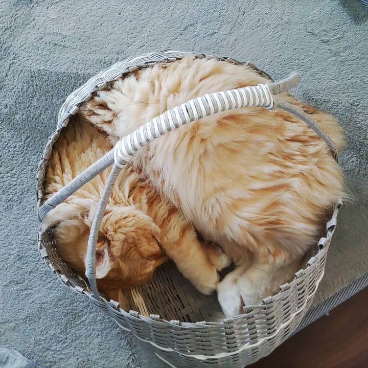 7ae94960 454c 4f30 8e12 5e6a39a9511d 1660210313333