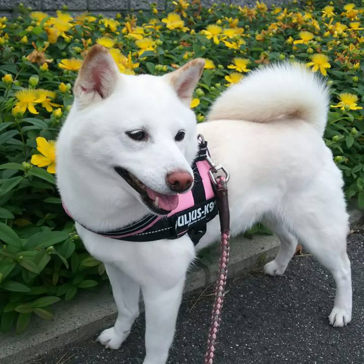 7ae98ad6 224c 437b b033 a40056305fce 1528286007880