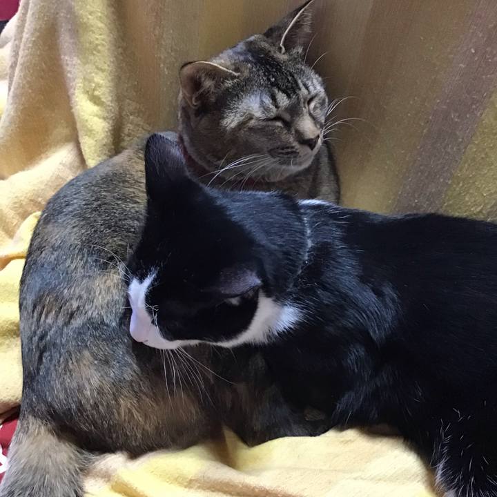 7ae9a88d d805 4c7e a1be e4039271b229 1639893838514