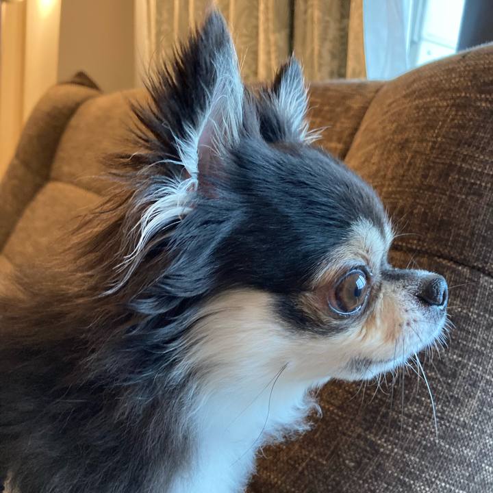 7ae9b8f9 daf4 44c7 9c7f 58038f69cba5 1719158420325