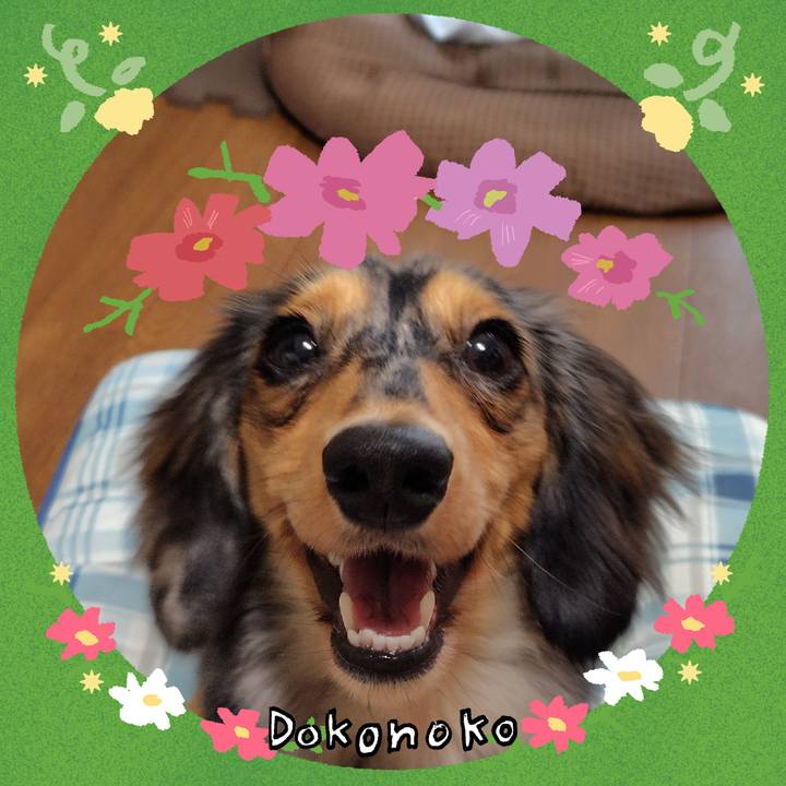 7aea0936 86c7 48cf bbcb 2be30c4ef93c 1726963558177