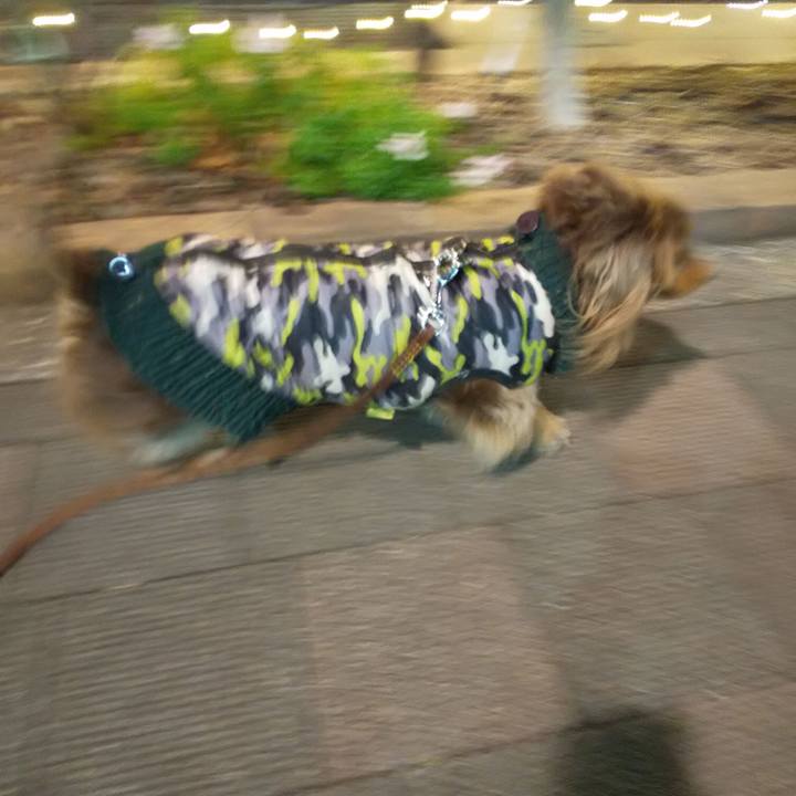 7aea21ff 934a 4473 9b07 085f6359c982 1581242560001