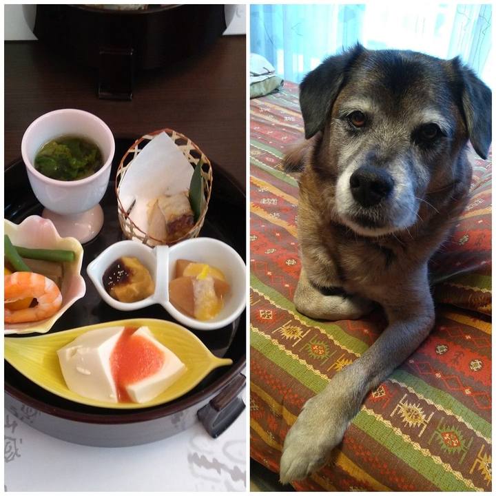 7aea7275 28ae 4049 9421 2736affd0f4e 1548933416036