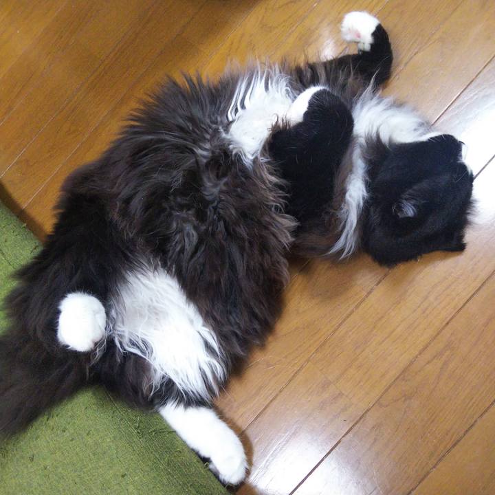 7aeaa965 60da 446b a4a7 37d0fac71ae8 1656419581809