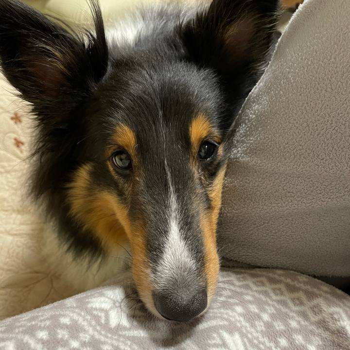 7aeab0cf 8bdd 401f 9047 5516d7109641 1622804123782