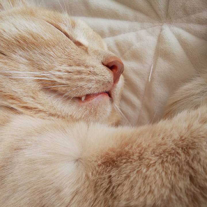 7aeab8d2 019a 4383 9969 3ed960e021f4 1650154610019