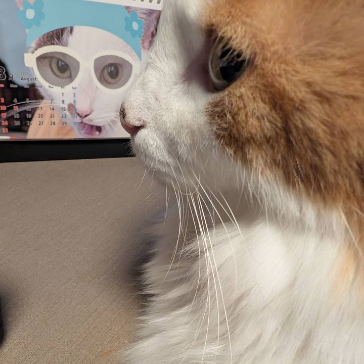 7aeabad7 5935 4c49 9cf9 455e620803bb 1755745149810