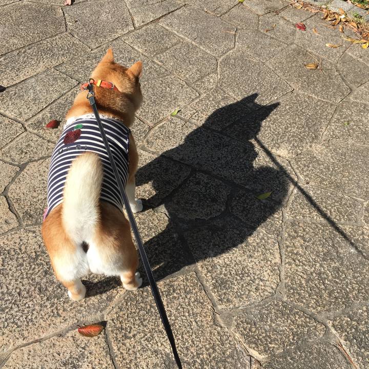 7aeac2f5 c148 4c04 bad7 459e624c628d 1542427488005