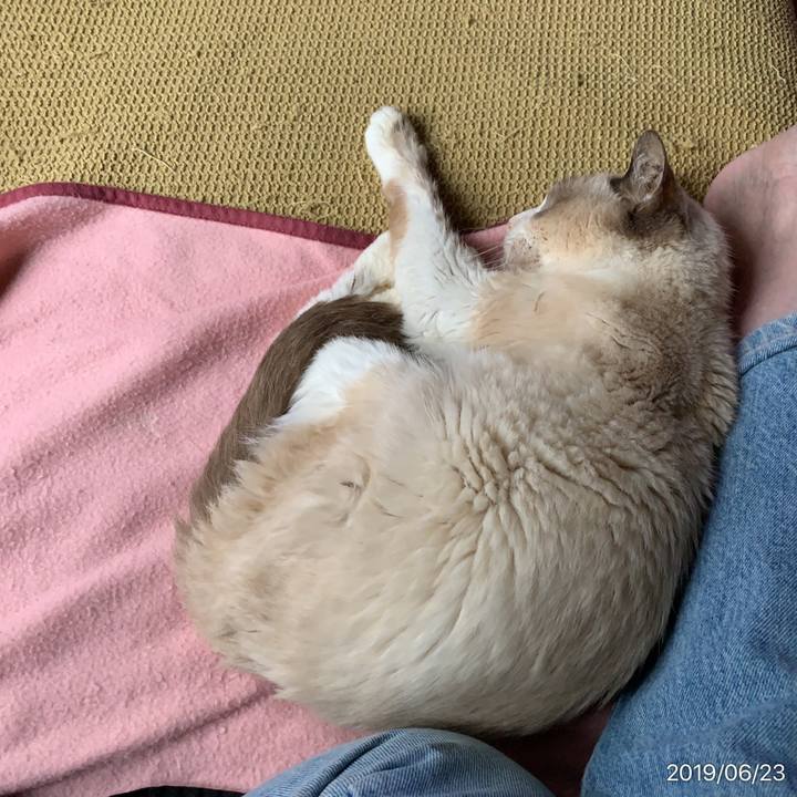 7aeacaf8 3254 4beb bae8 e37a8a1ca84c 1561254084487