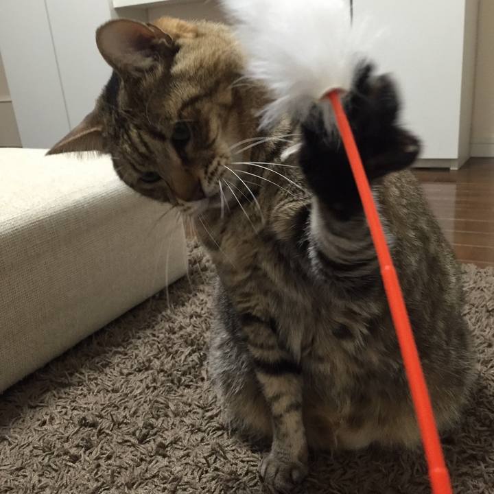 7aead52e d2bd 4e00 bf2b b1b160c5f212 1697466257498