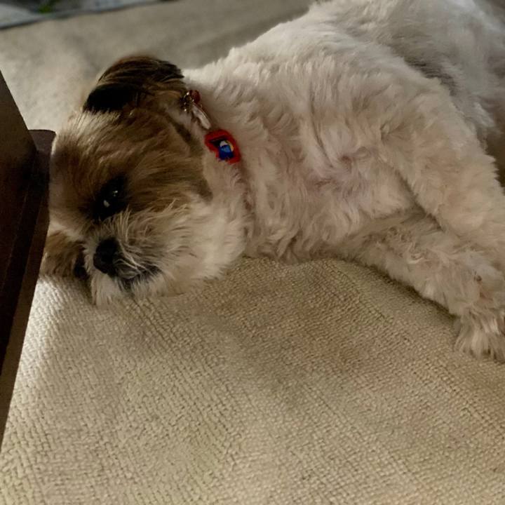 7aeaed97 3545 4cd9 87d9 c6779fd017c7 1597307229360