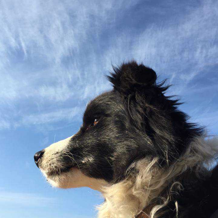 7aeafb19 fb48 4e37 9d4a a40867992dbc 1546844623788