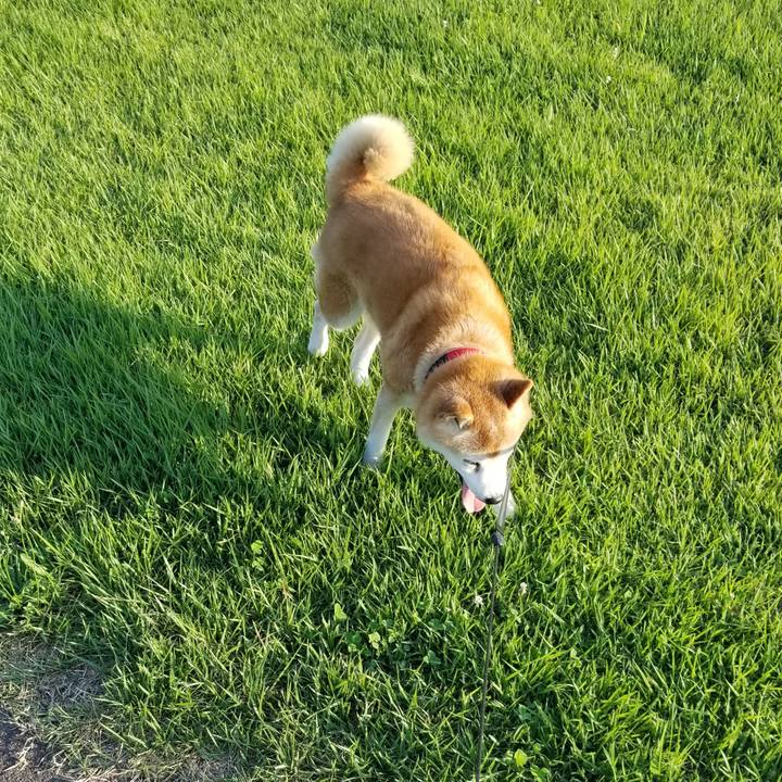 7aeb0cd7 5588 4475 a208 e34c7142471b 1725610169770