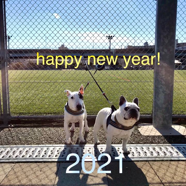 7aeb3e8d da9a 4f02 b052 28bfcaaf3f5b 1609577661729