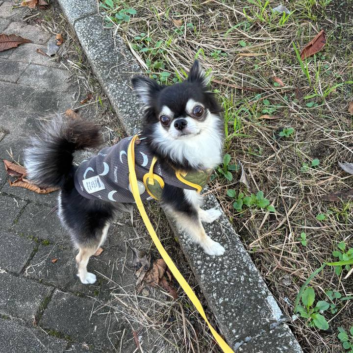 7aeb50ba 254b 40ed 93ec db45ef1667d4 1728749986756