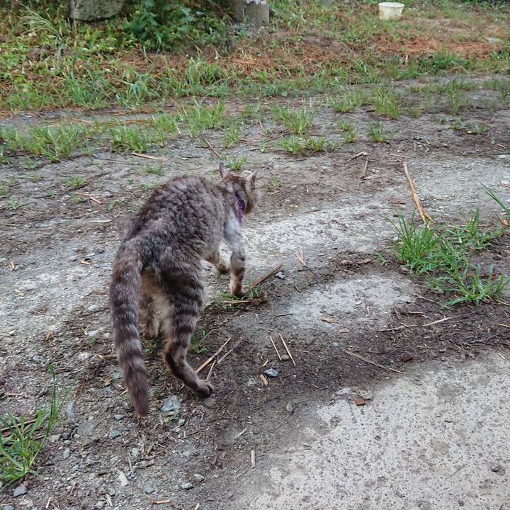 7aeb5146 b383 4059 86cc 3fc1596e2daf 1598736545129