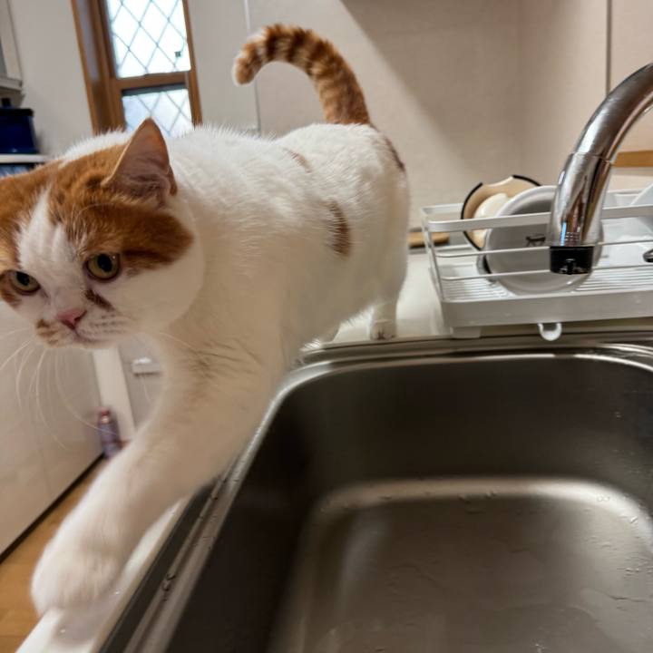 7aeb5a78 b902 4ee5 af00 26205986ceb8 1769389120932