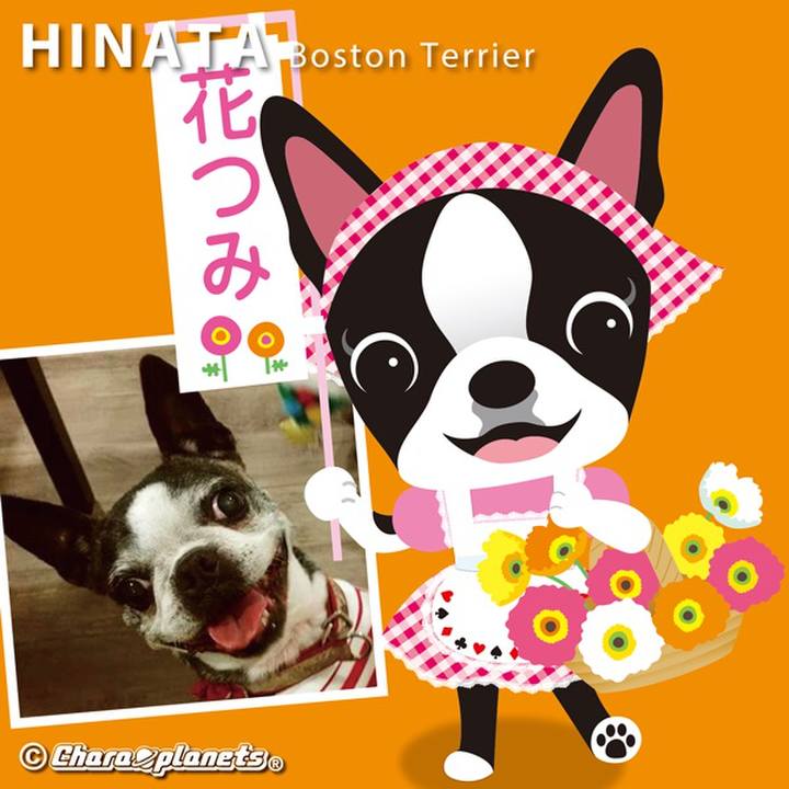 7aeb5bd4 3863 4aec 92fb e8d4a17b7c3d 1555561850678