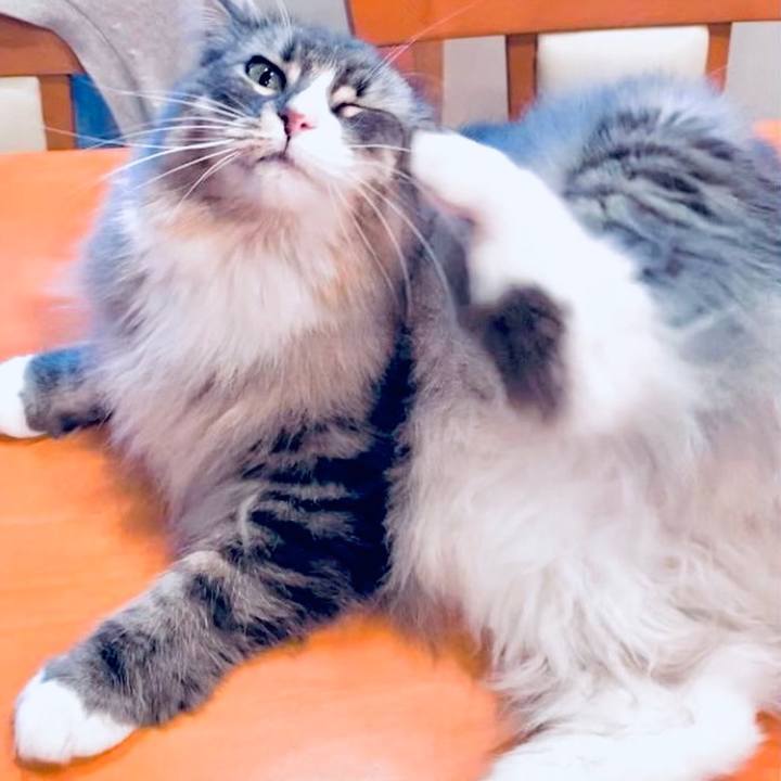 7aeb765e 1a91 4adf 9f65 0c910cbd0d19 1674061631483