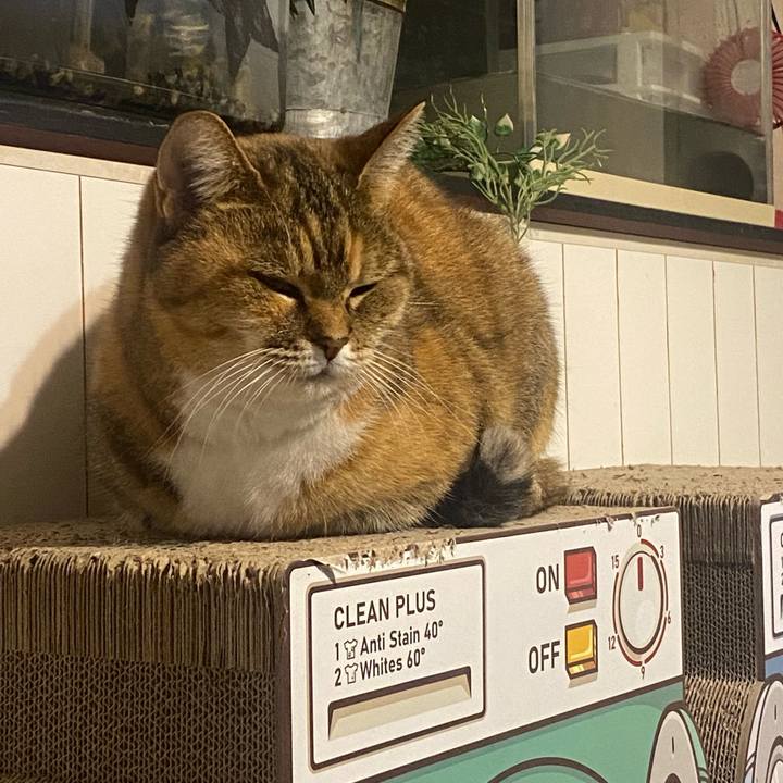 7aec0672 142e 4f23 841b 4475203e1876 1700987301182