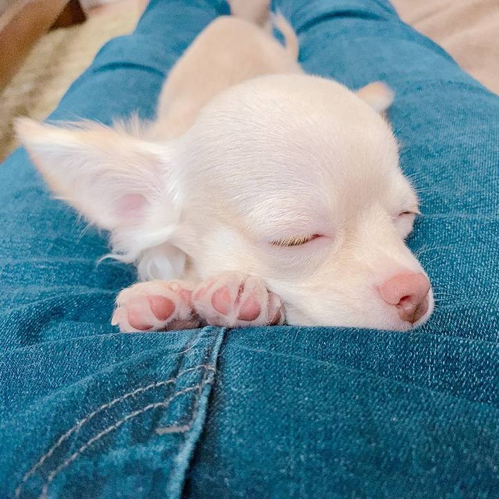 7aec1413 ada7 4885 963f ff9d33c9f0ce 1593757315739