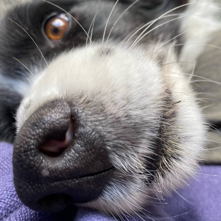 7aecbd95 4265 465f 965f bc962a3375af 1639356905213