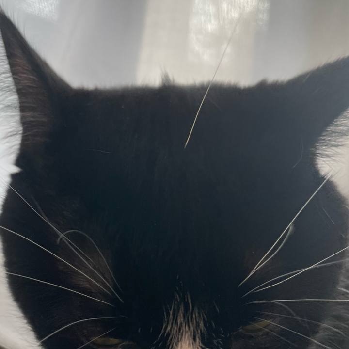 7aed1a5a 5bfd 4799 88a1 1a660b5c161b 1674522538017