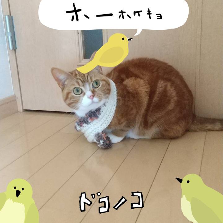 7aed2b76 aa22 44c1 8a68 84cfd0c0825b 1711025490865