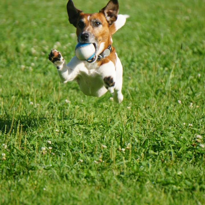 7aed4830 e892 4232 94a5 3b58c4769d77 1596669059573