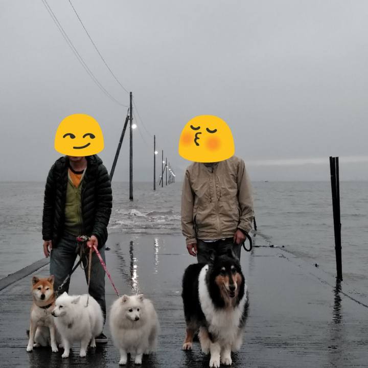 7aed5640 1597 41df 9f4a ca593e1f5e8f 1556670265901