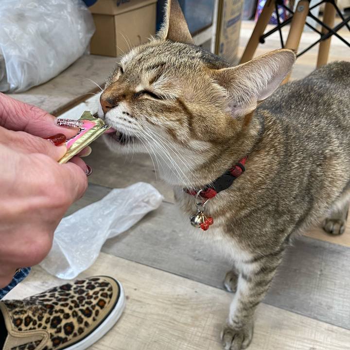 7aed5a30 9686 4bd2 80a4 3efda0b7a9e6 1705133733200