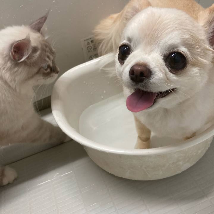 7aed88d7 398d 41ba 9df4 2f268258a1ba 1685624418990