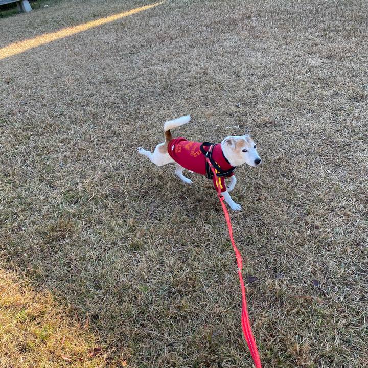 7aedc05c 18ab 4ae8 bdae 040271cf753f 1607227366688