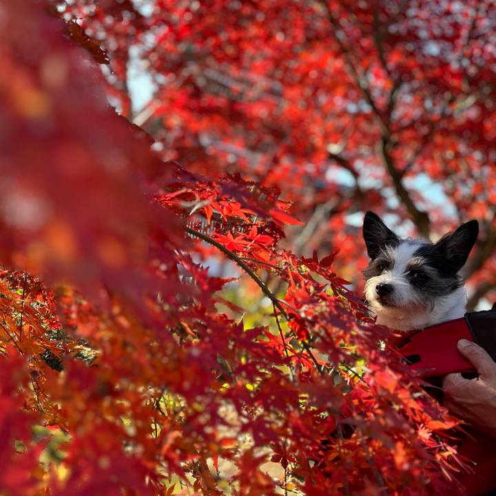 7aedd954 0d75 45aa a655 e129001dae4a 1702186024591