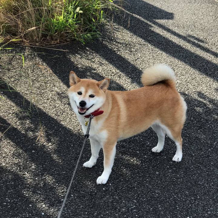 7aeddec3 3a56 476a b0c4 d1446f960dbd 1567433626707