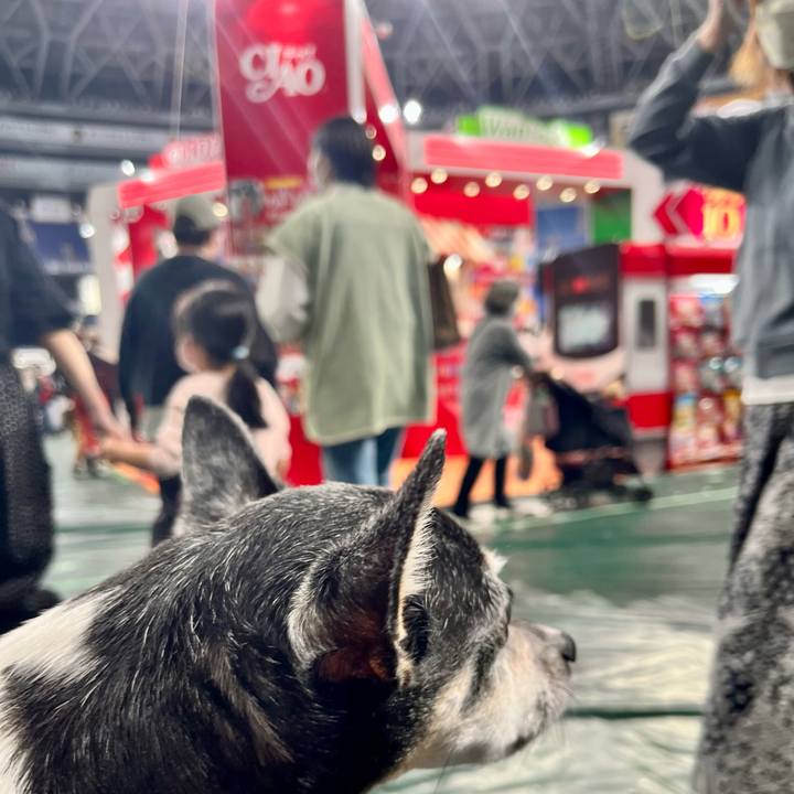 7aee2158 850c 4034 a0fc 54d8888a6f24 1651654252825