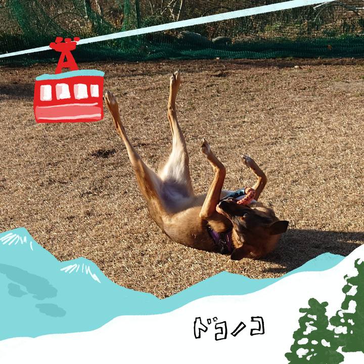 7aee6450 ce98 46ff 9301 ca9b9777433a 1706785738131