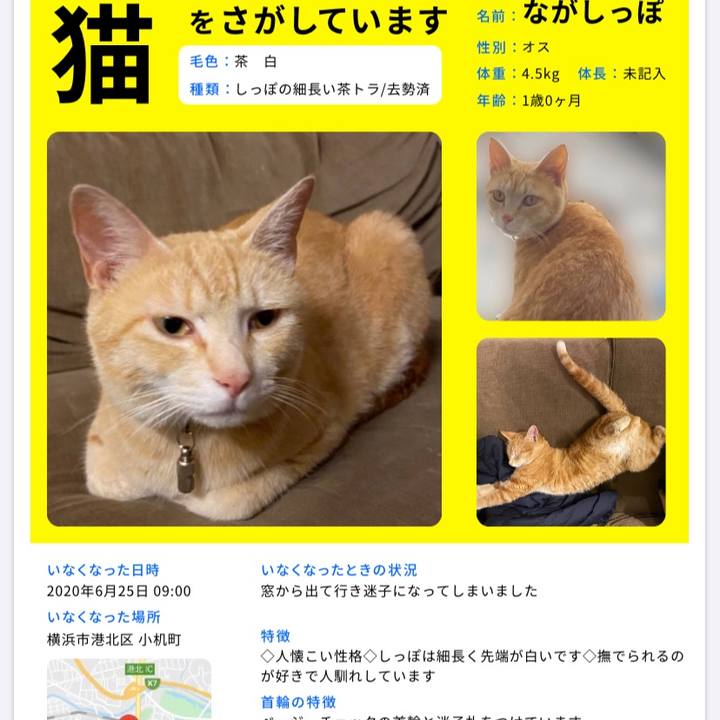 7aeec5b5 1a5b 4cac ad71 c63f88b01dbd 1595635090185