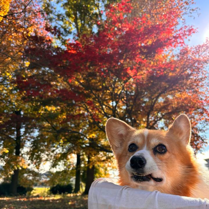 7aeed49c 327c 4bfd bc13 b0acfb3d17cb 1732163065683